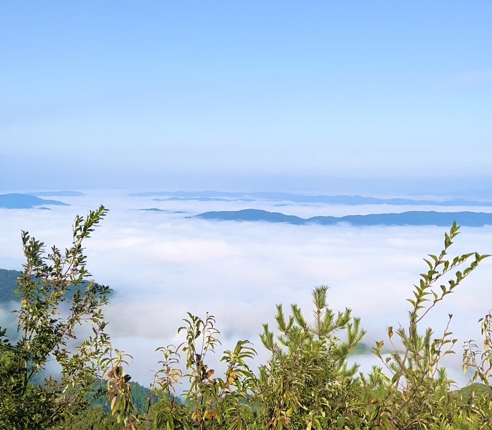 高梁市巨瀬町にある祇園寺の雲海写真