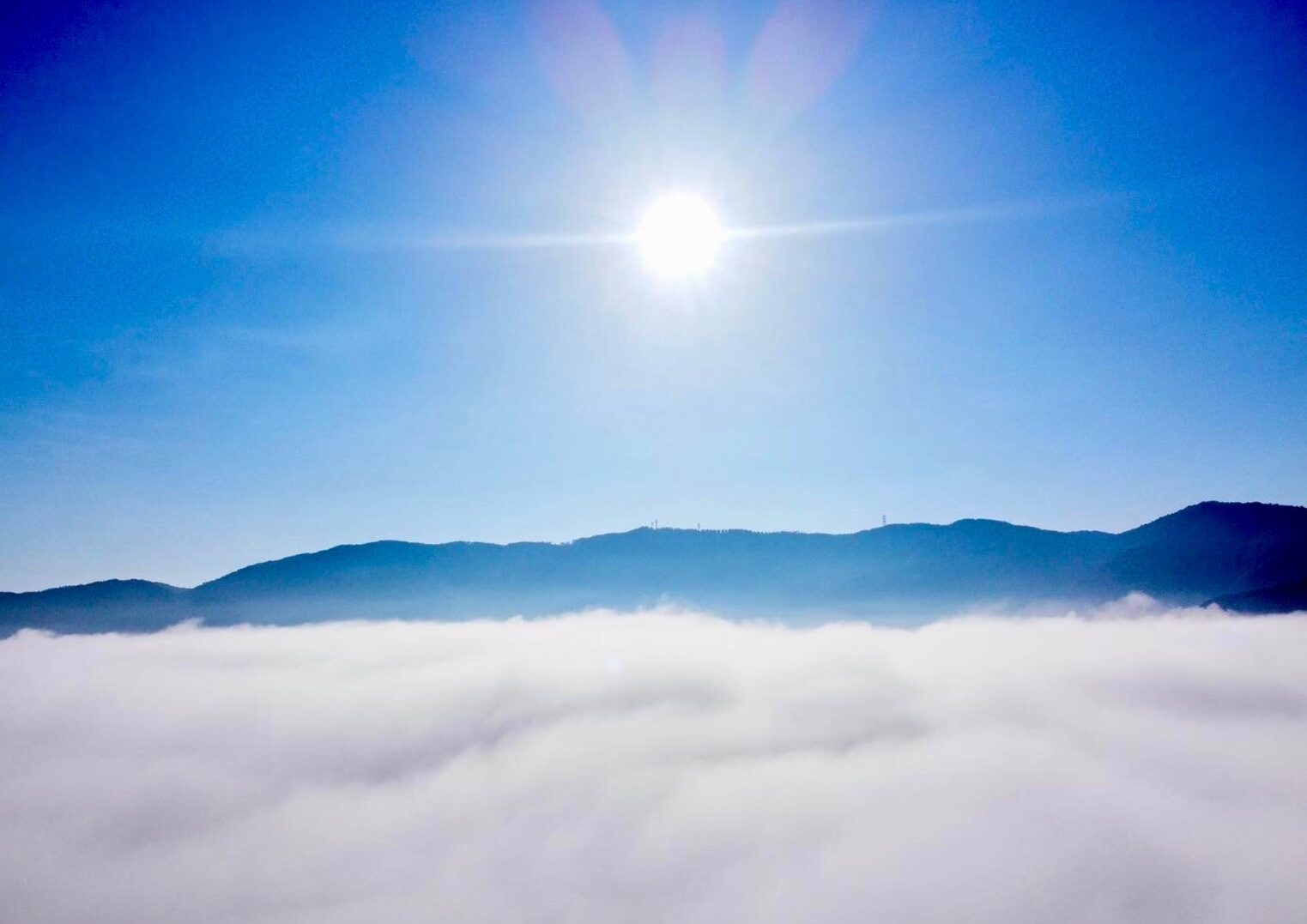 岡山県高梁市の雲海の写真