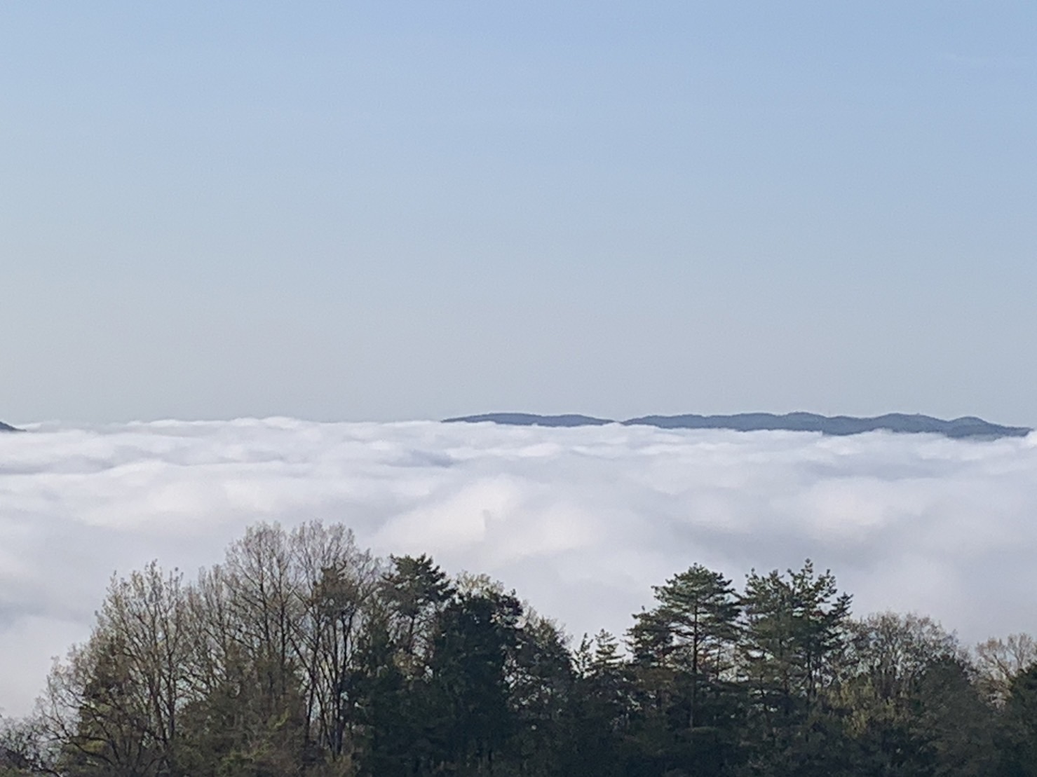 岡山県高梁市の雲海の写真
